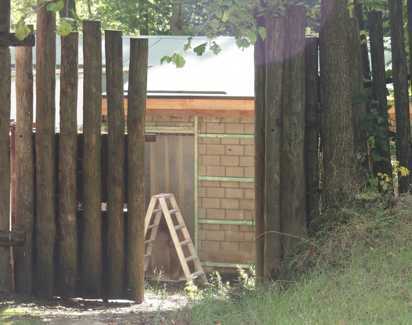 New Mountain bongo and Kirk's dik-dik stable under construction, 2024-08-21