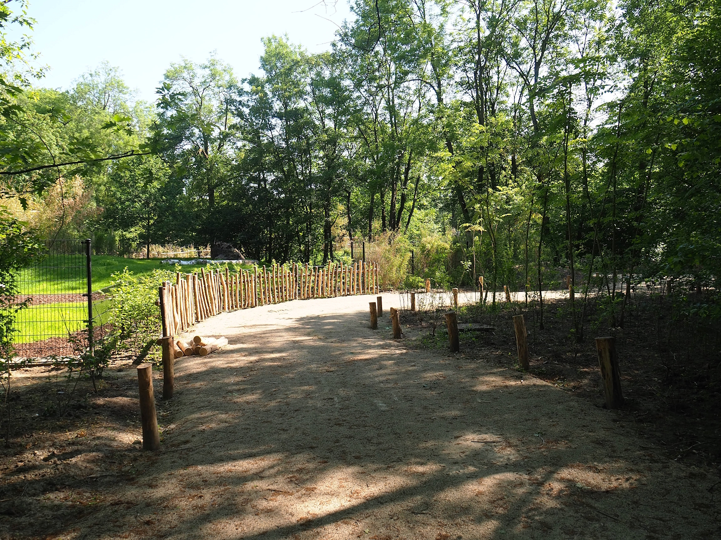 New Mountain bongo - Kirk's dik-dik paddock and Renovated walkway construction site, 2023-06-04