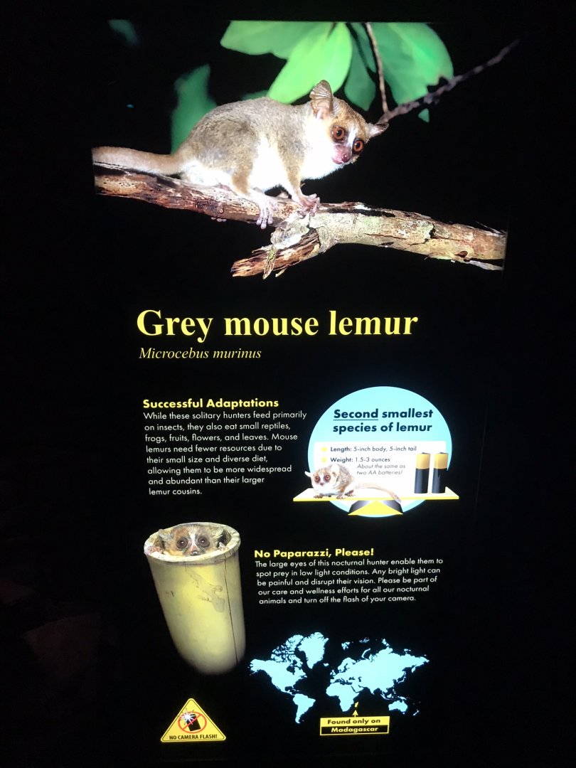 New Mouse Lemur Signage in Desert