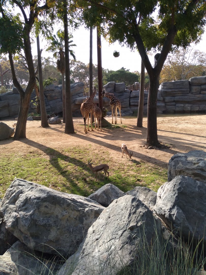 New multispecies environment