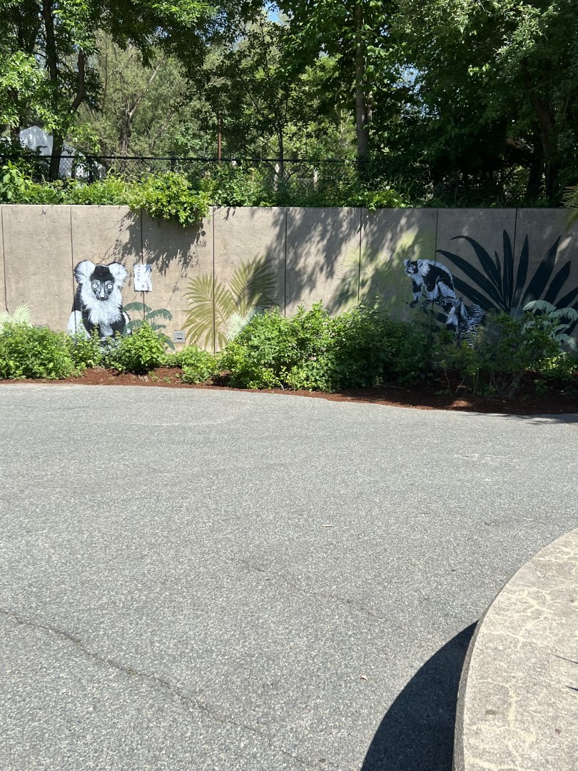 New Mural Outside the Tropical Forest