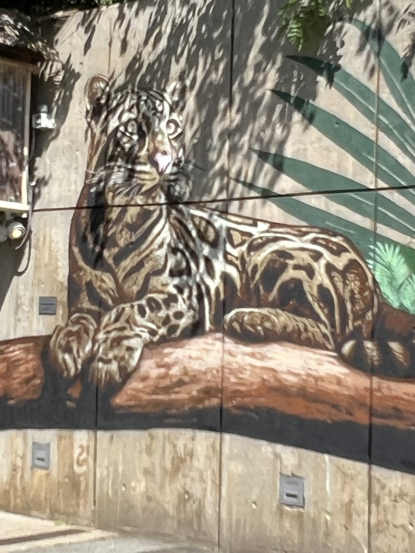 New Mural outside the Tropical Forest