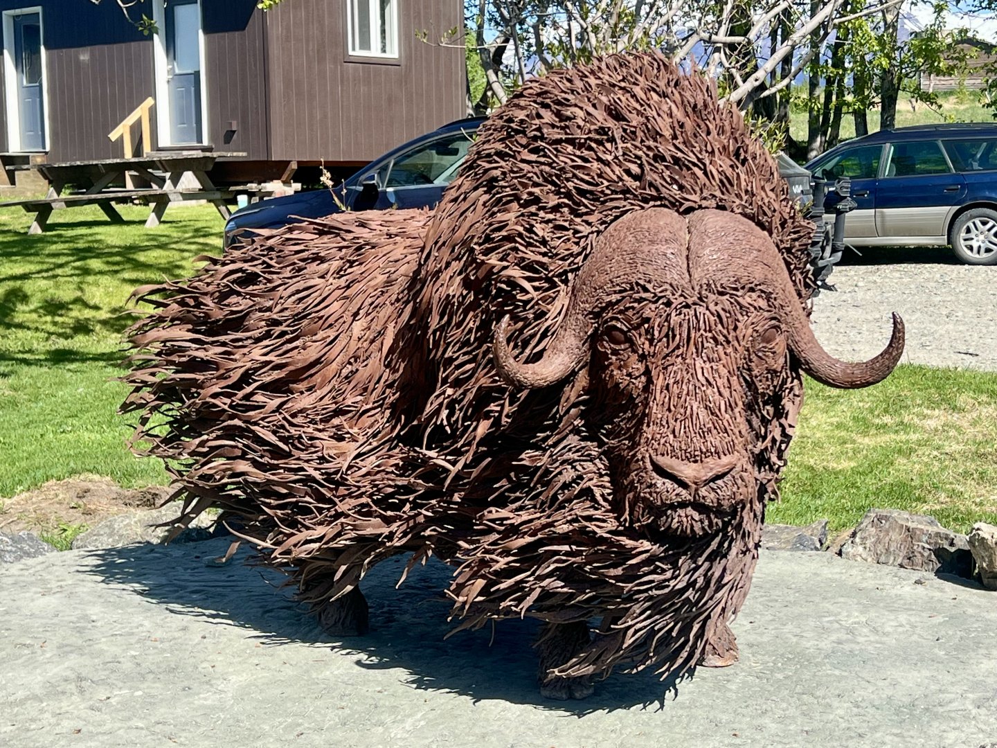 New Musk Ox Sculpture