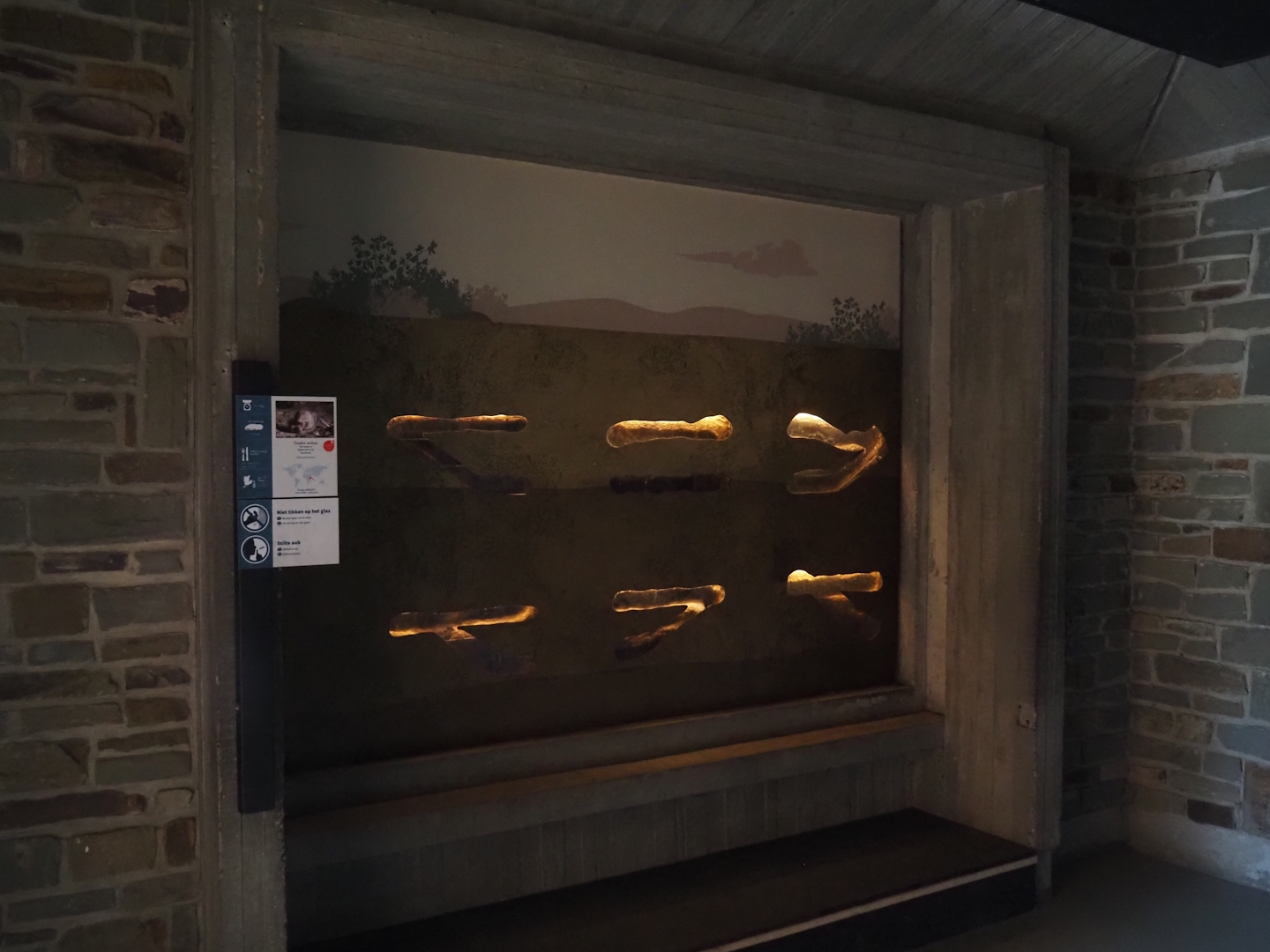 New Naked mole-rat exhibit, 2025-07-21