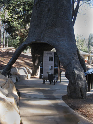new native wildlife kiosk