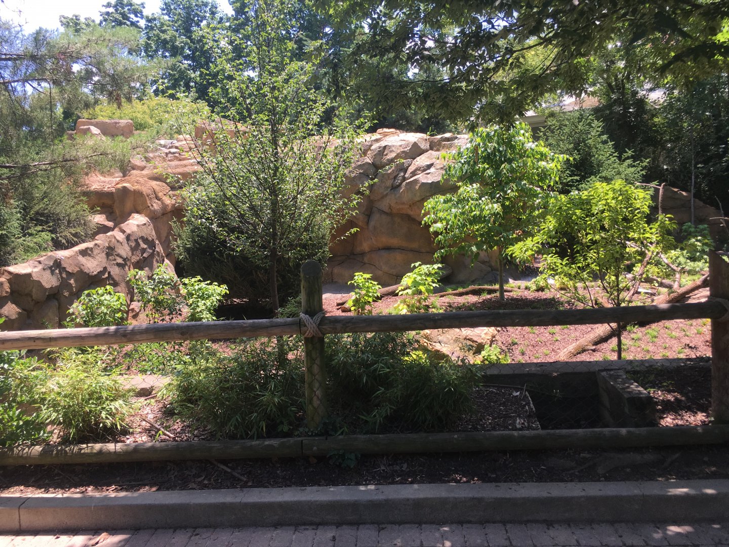 NEW! Nearly-Complete Bald Eagle Exhibit!