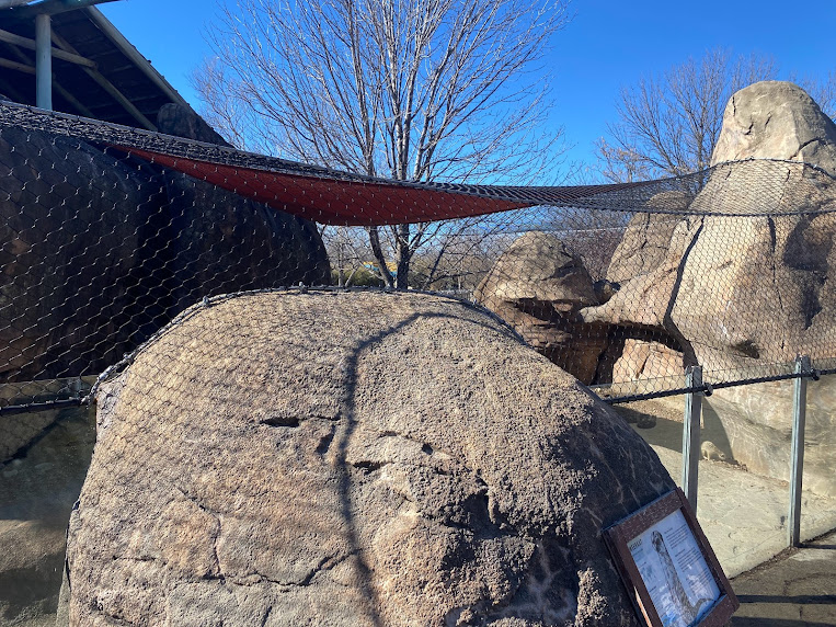 New netting over meerkat enclosure