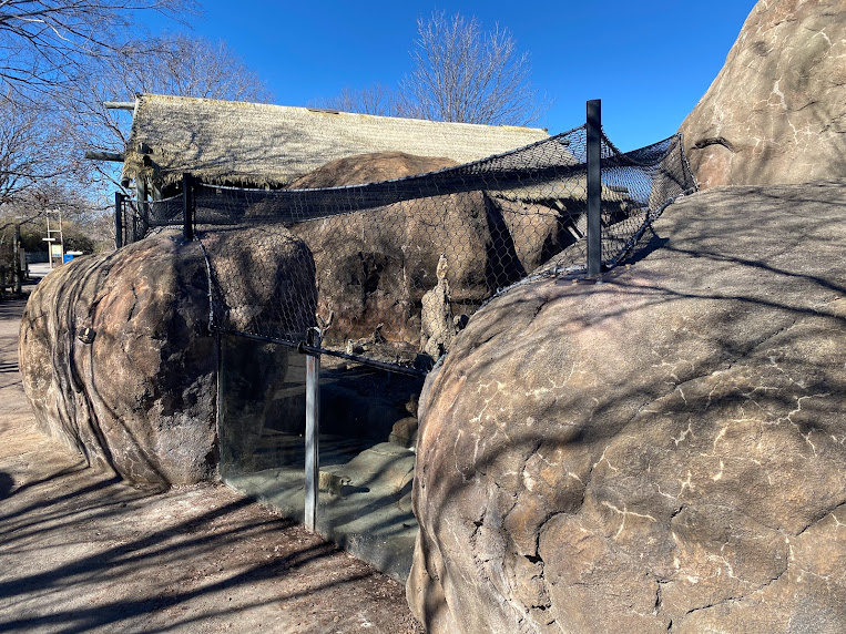 New netting over meerkat enclosure
