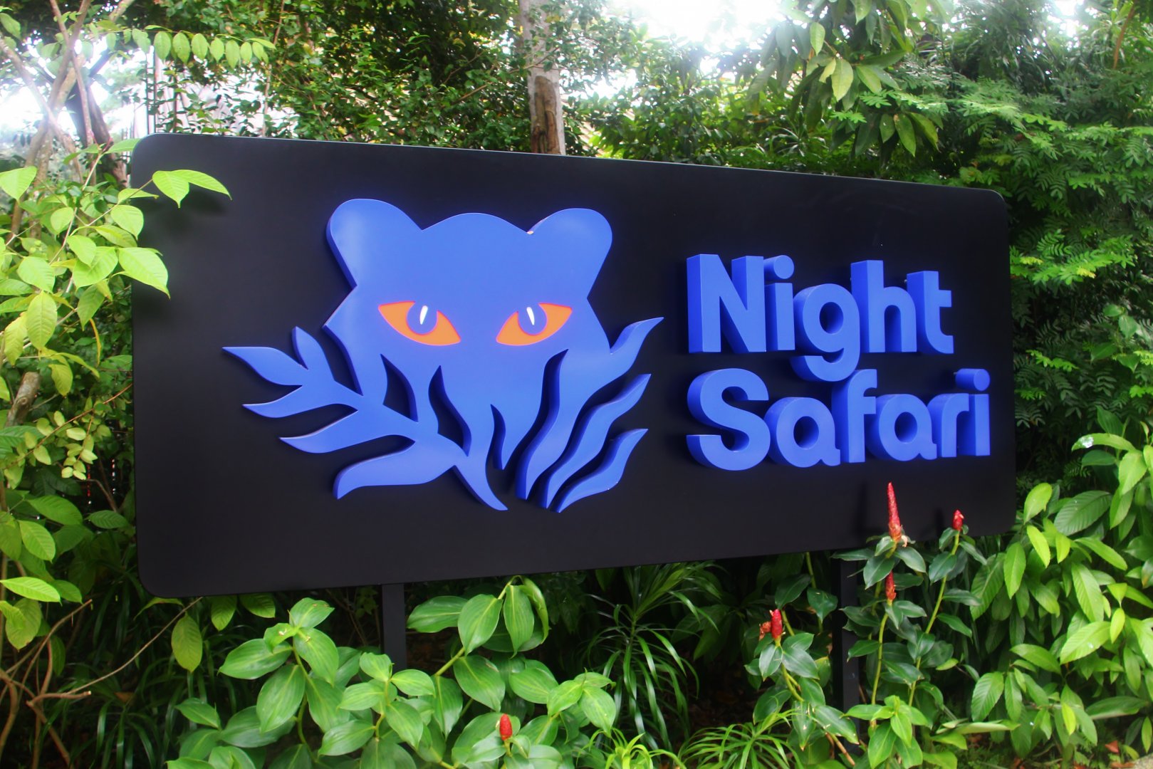 New Night Safari logo
