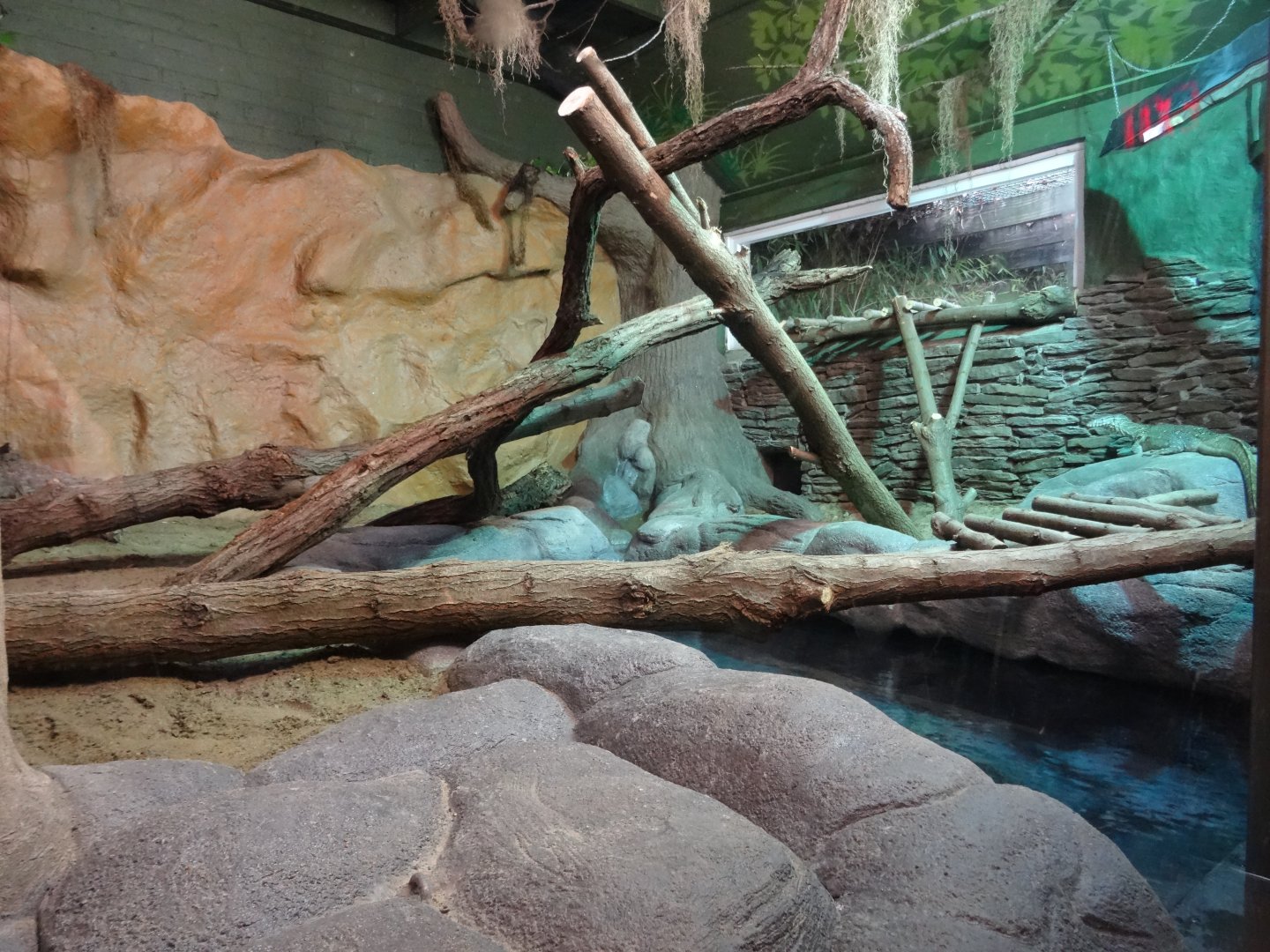 New Nile Monitor Exhibit