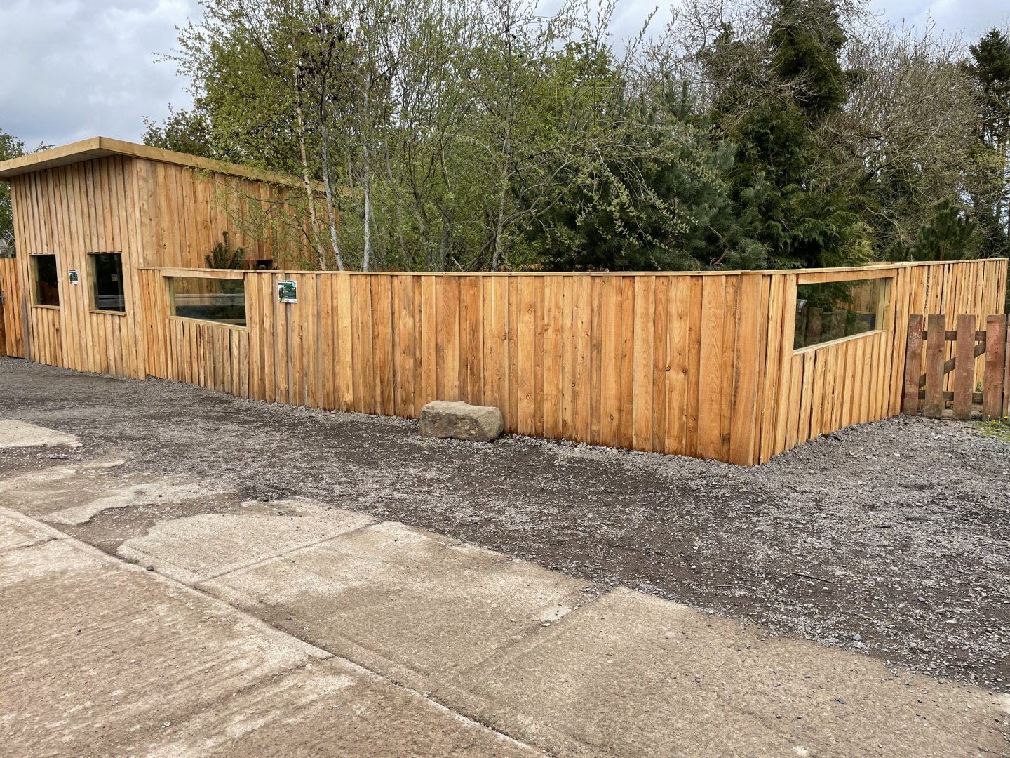 New North American Porcupine Enclosure