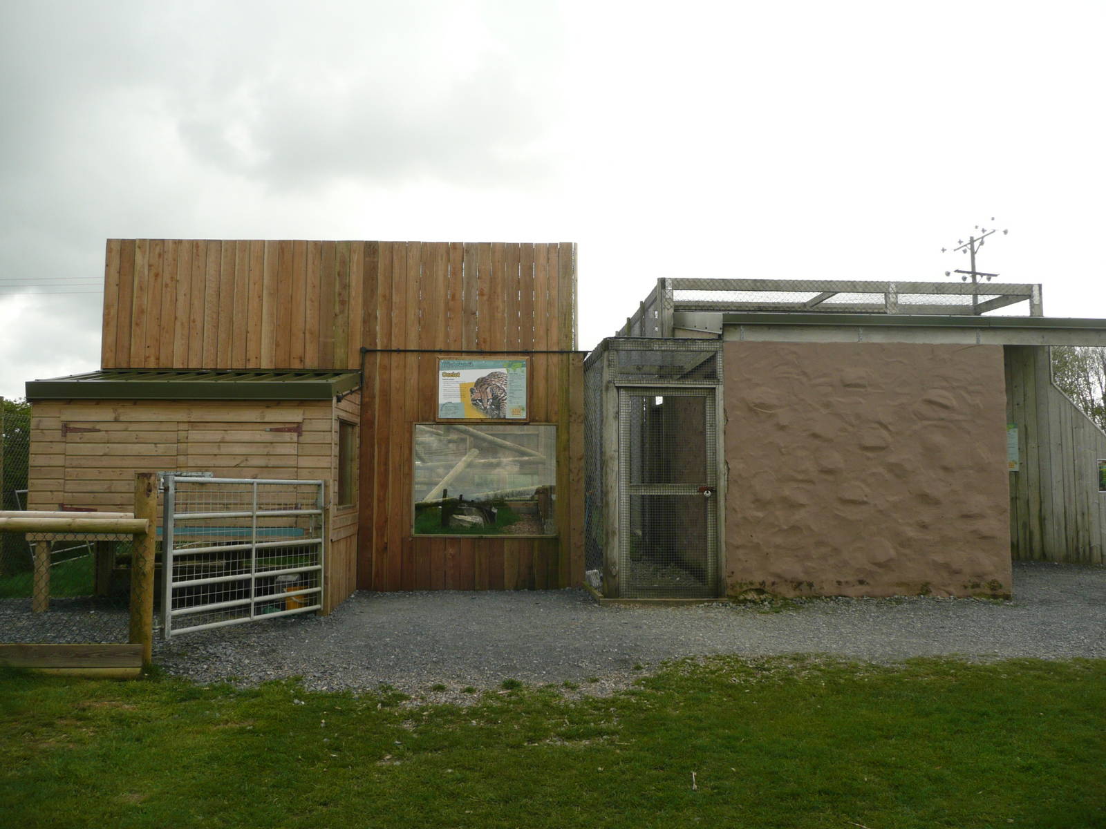 New Ocelot enclosure