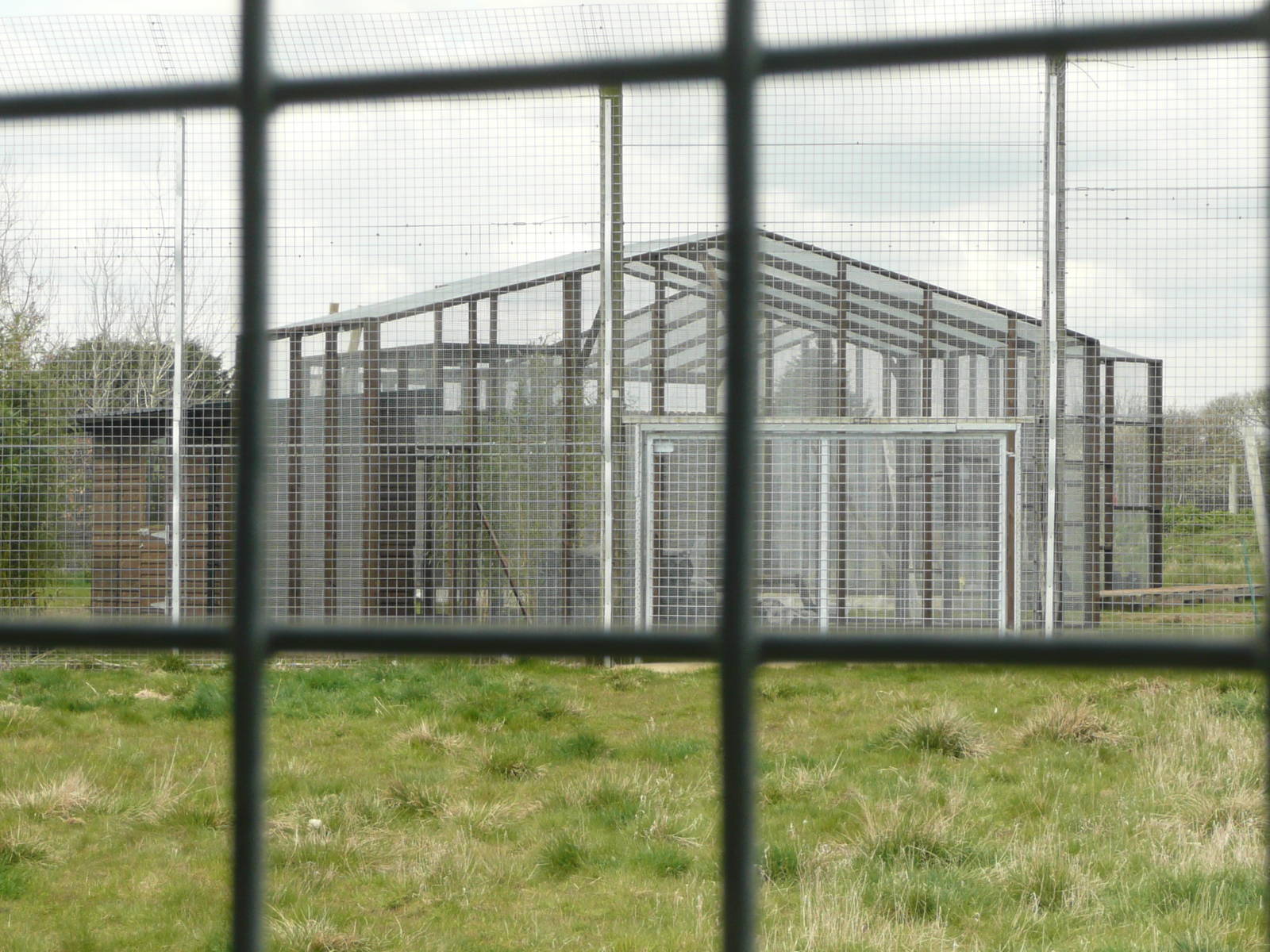 New off-show enclosures behind Tiger enclosure