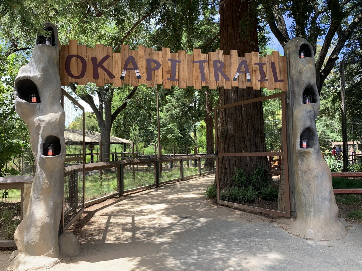 New okapi exhibit entrance sign: "Okapi Trail"