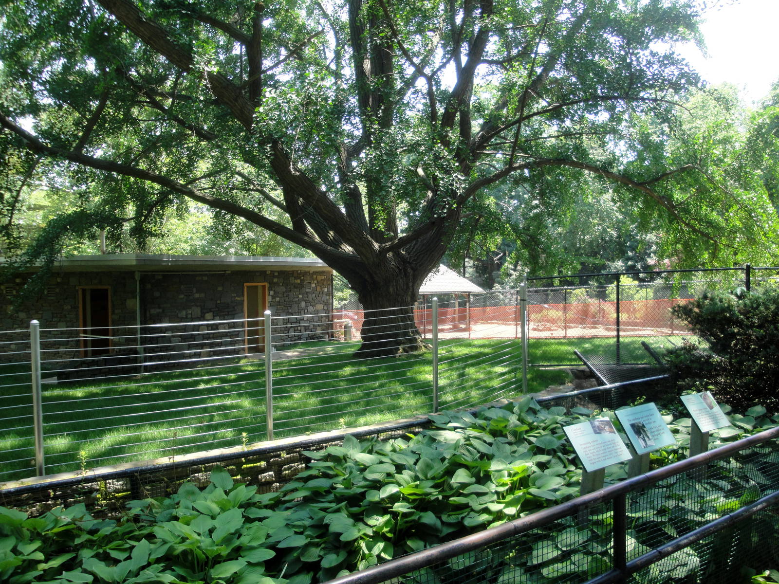 New Okapi Exhibit