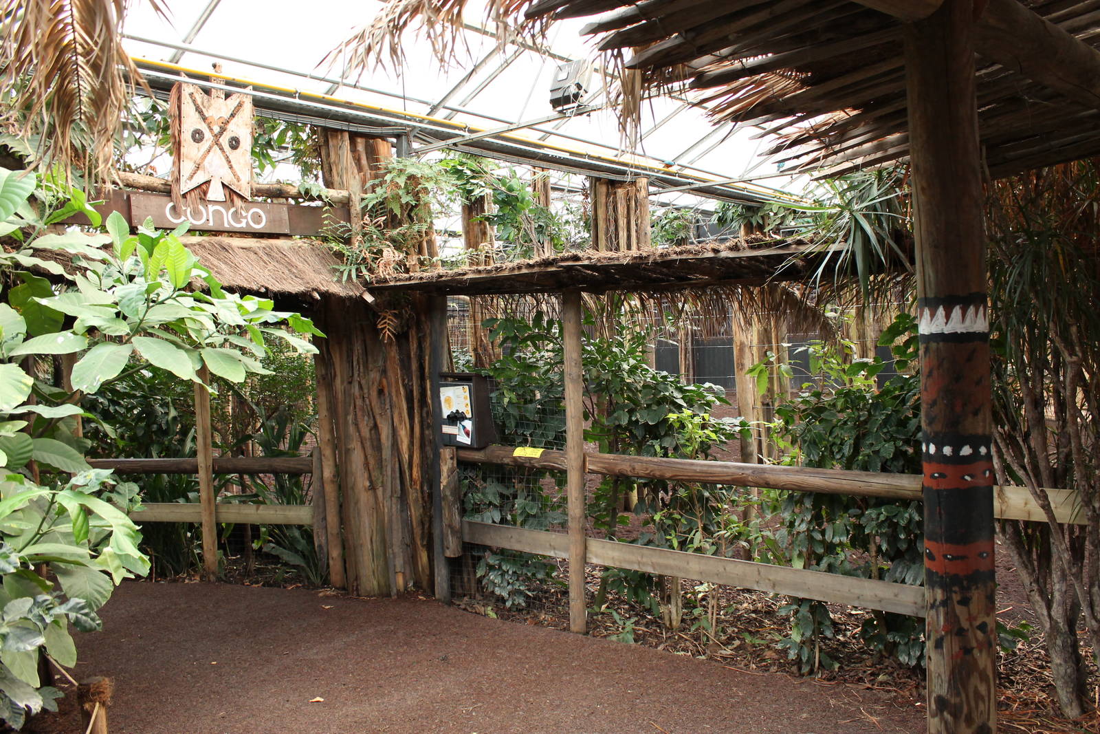 New Okapi indoor exhibit