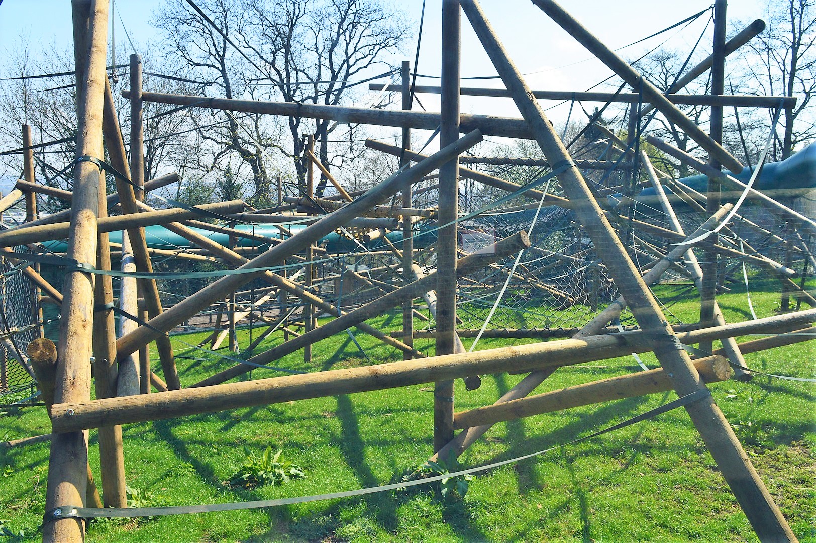 New orang enclosure climbing structure.