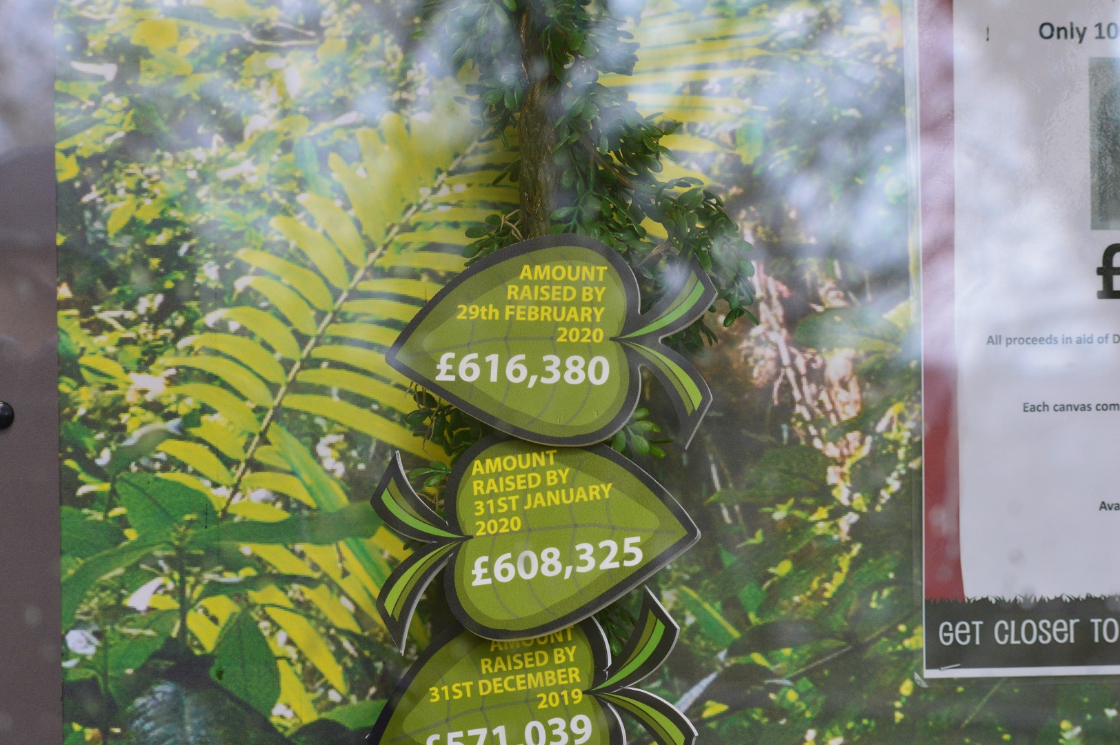 New orang enclosure fundraising total