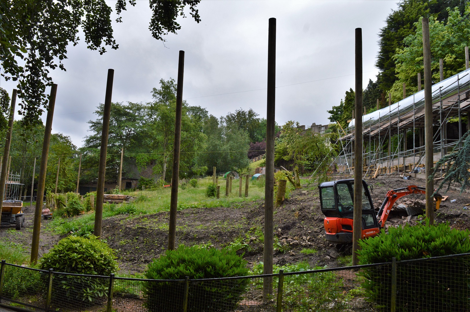 New orang enclosure under construction