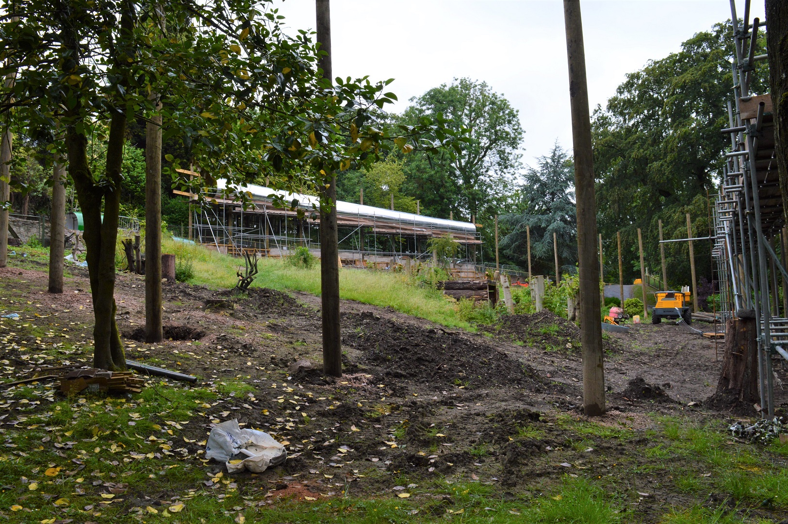 New orang enclosure under construction