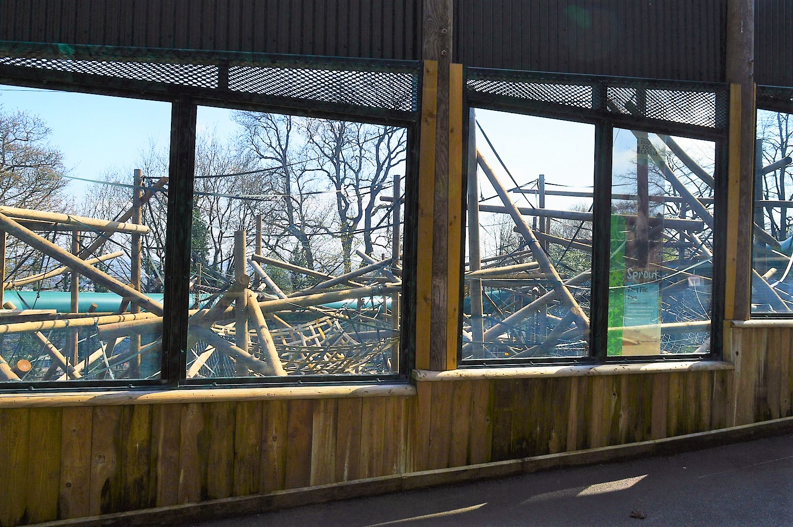 New orang enclosure viewing windows
