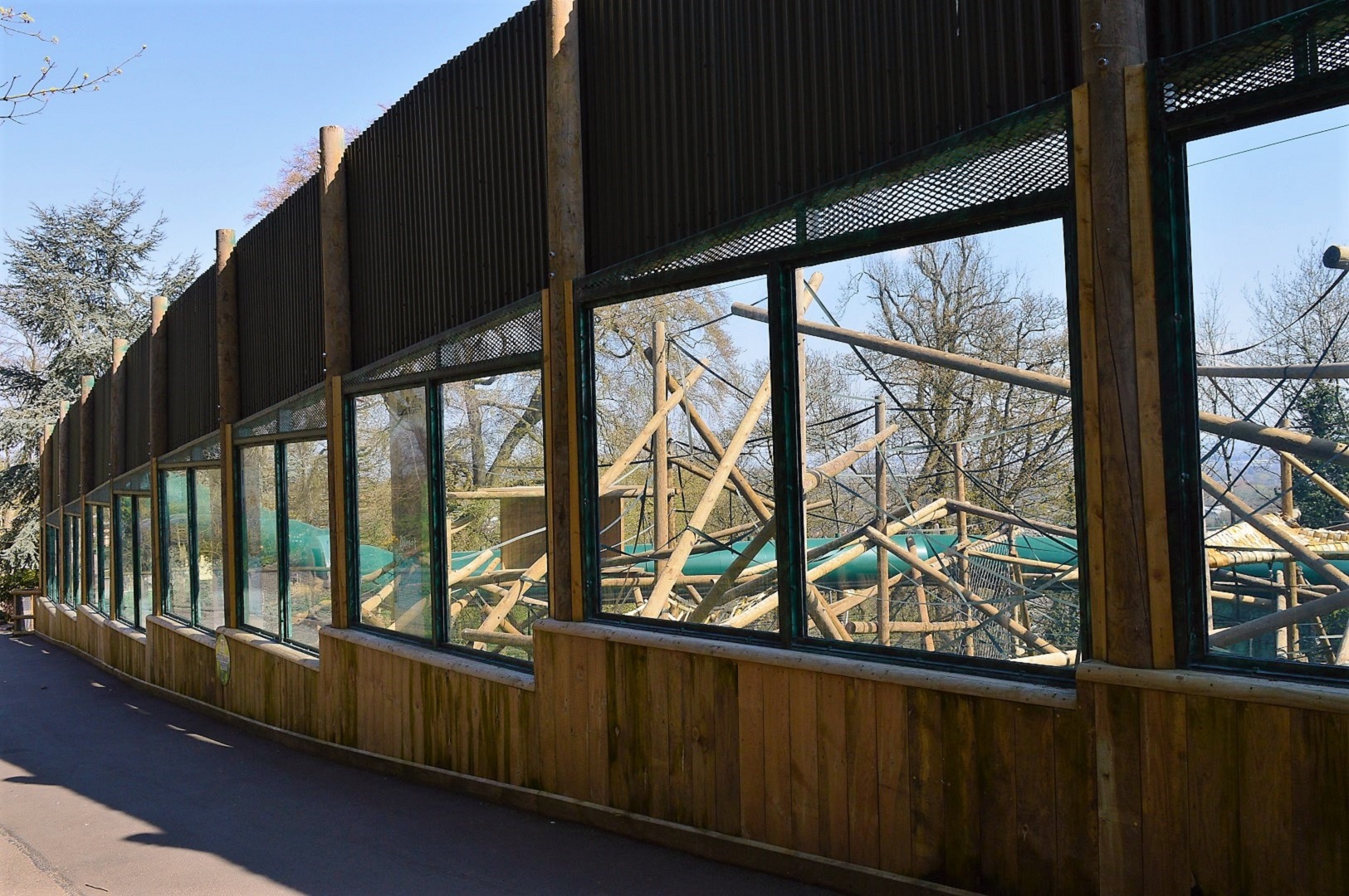 New orang enclosure viewing windows.
