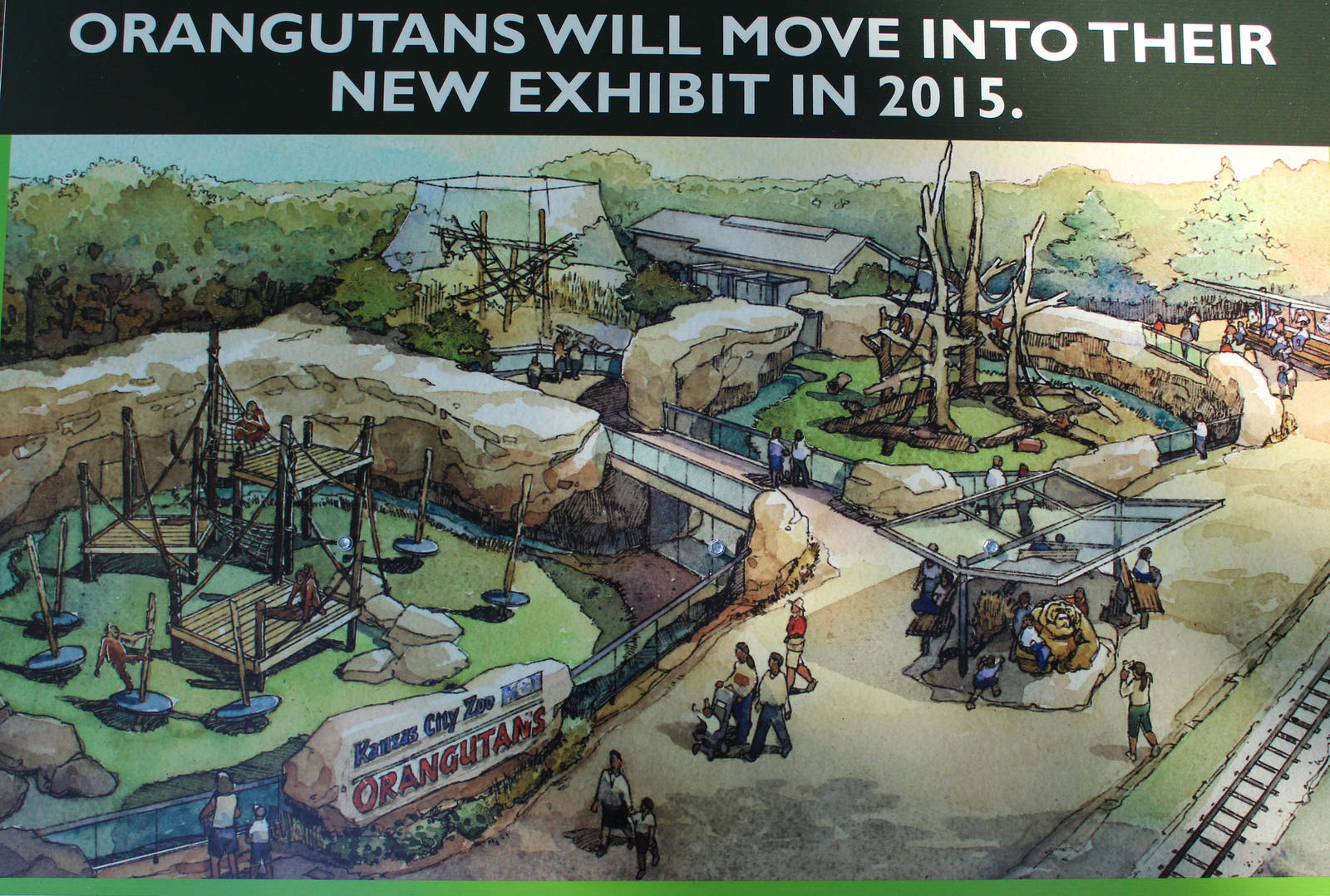 New Orang Exhibit Design Announced