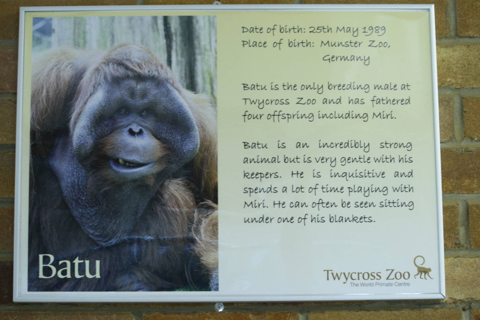 New orang info boards 24 August 2010