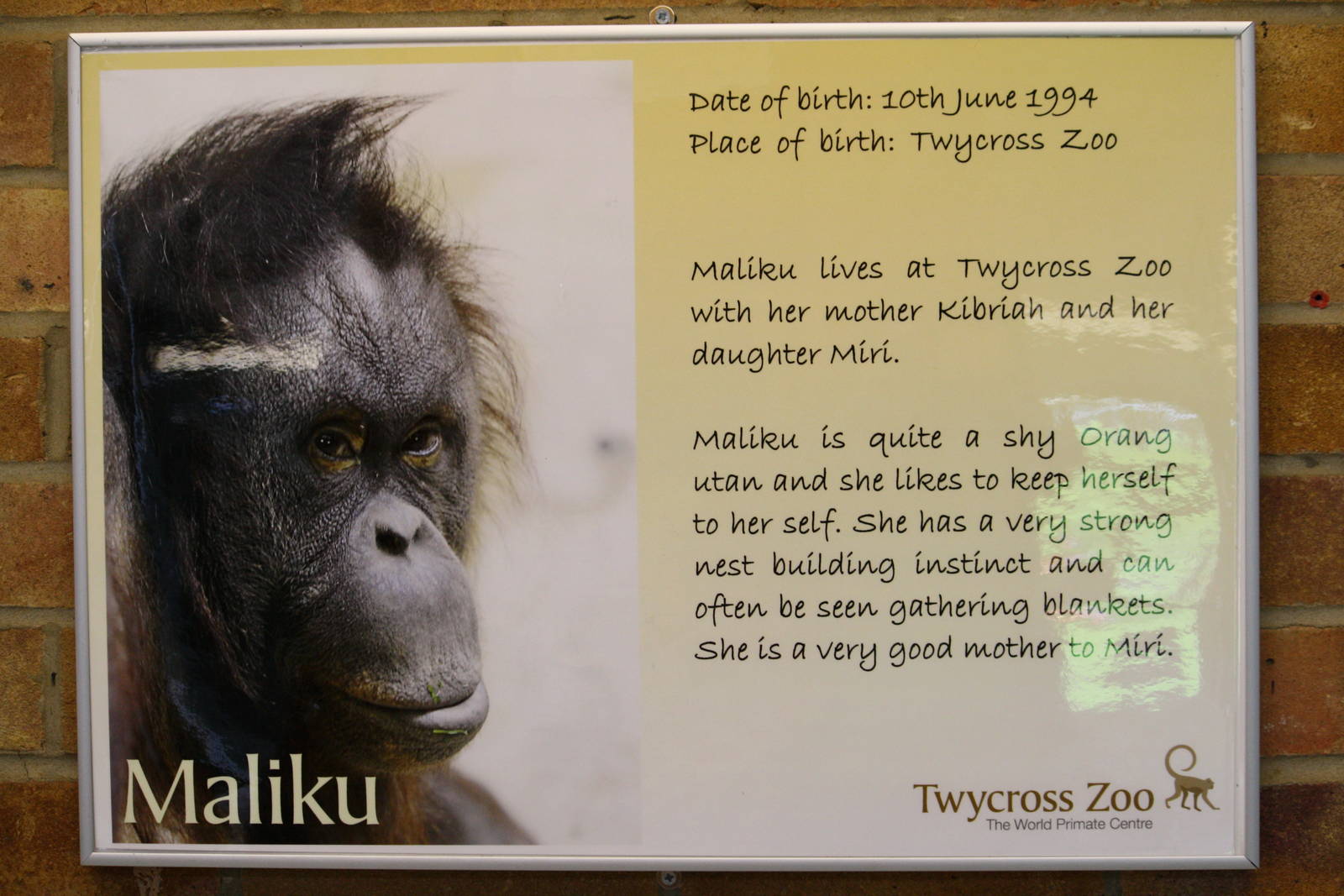 New orang info boards 24 August 2010