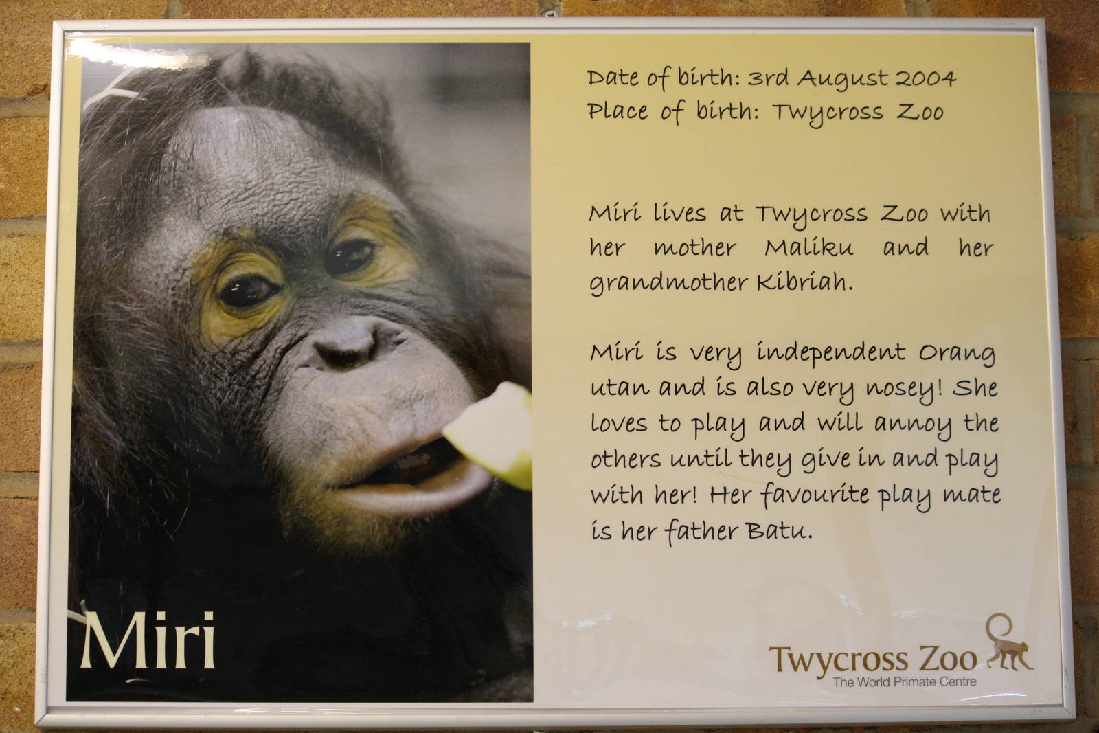 New orang info boards 24 August 2010