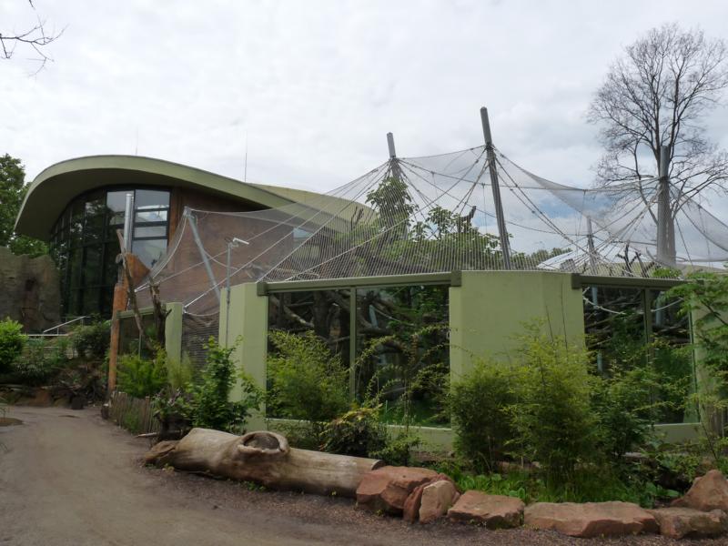 New Orang Outdoor Exhibit