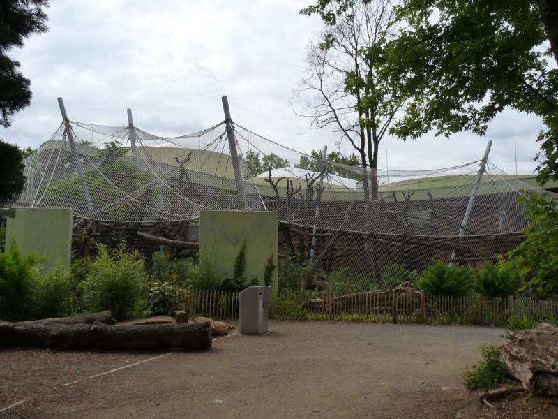New Orang OutdoorExhibit
