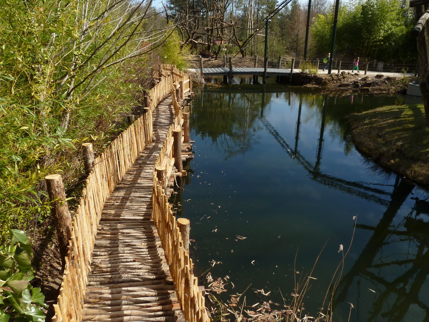 New orang viewing trail II