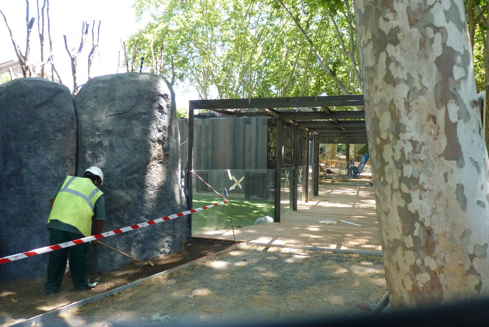 New Orangutan Enclosure, 17 June 2015