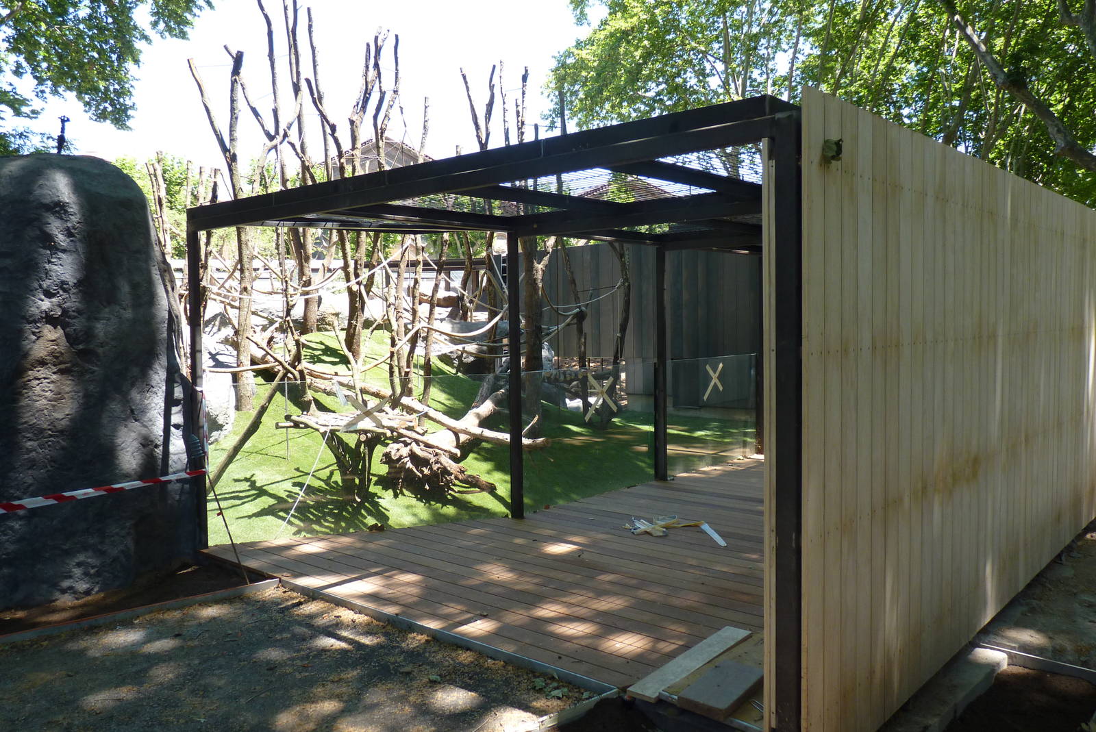 New Orangutan Enclosure, 17 June 2015