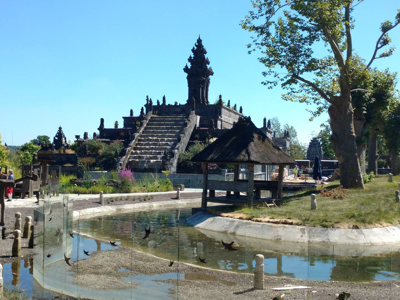 New orangutan enclosure May 2016