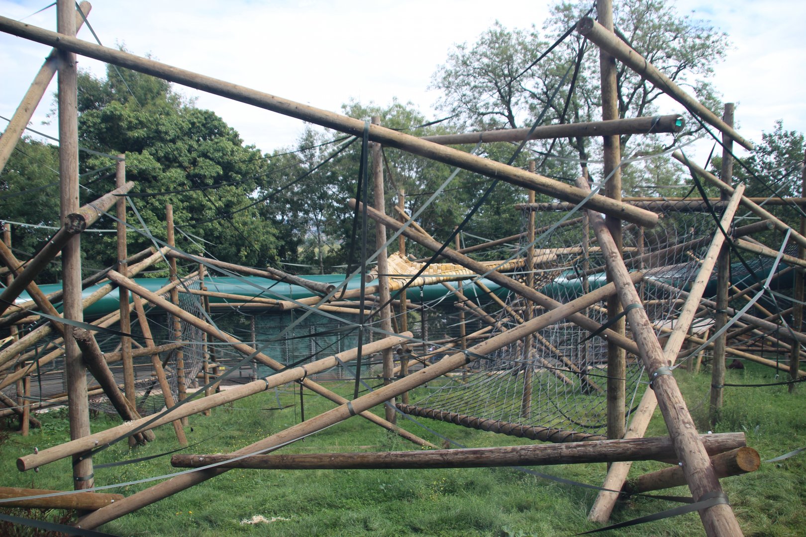 New Orangutan Enclosure