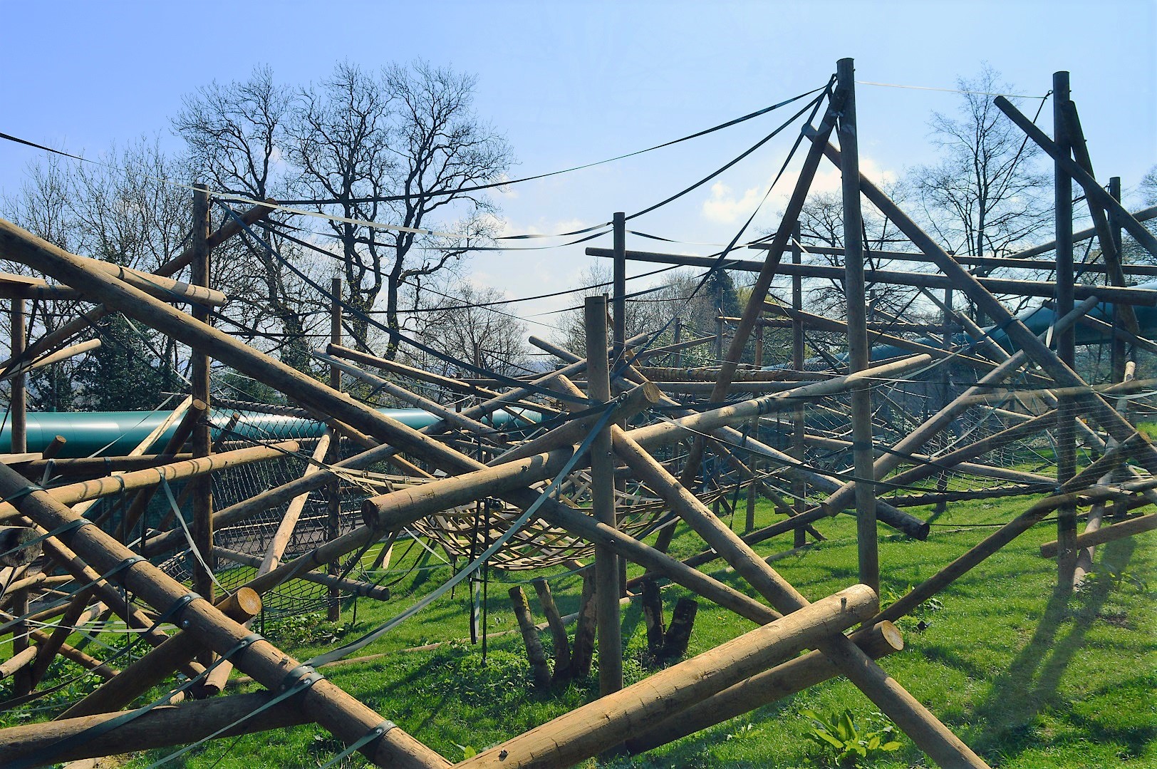 New orangutan enclosure