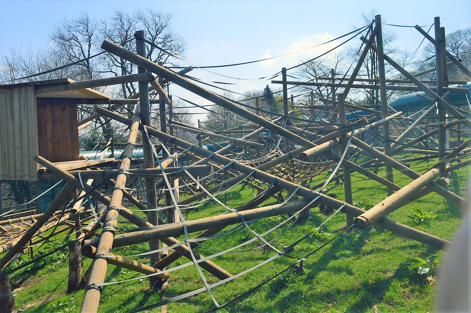 New orangutan enclosure