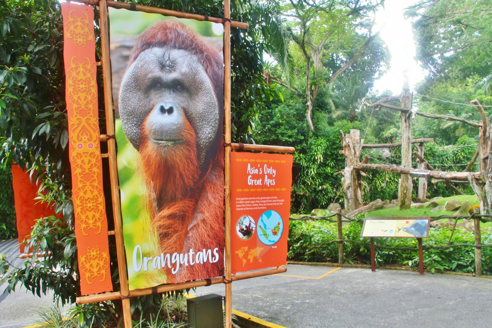 New Orangutan exhibit marker