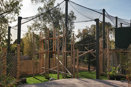 New orangutan exhibit.