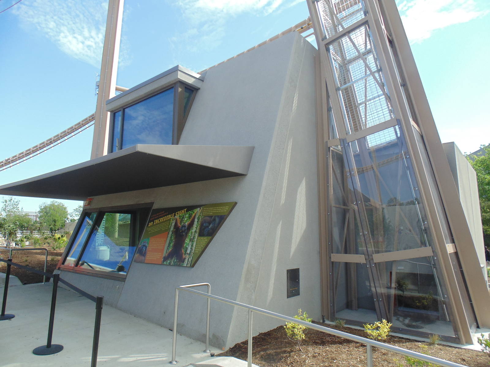 new orangutan exhibit