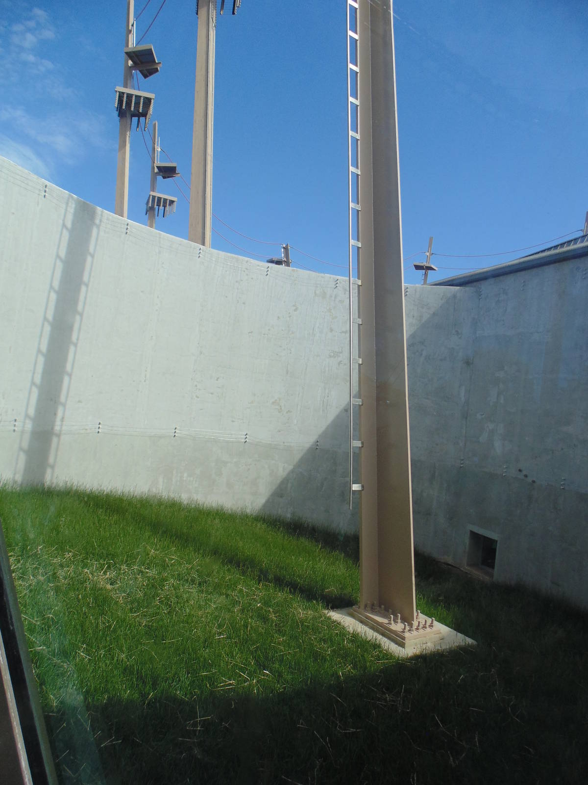 new orangutan exhibit