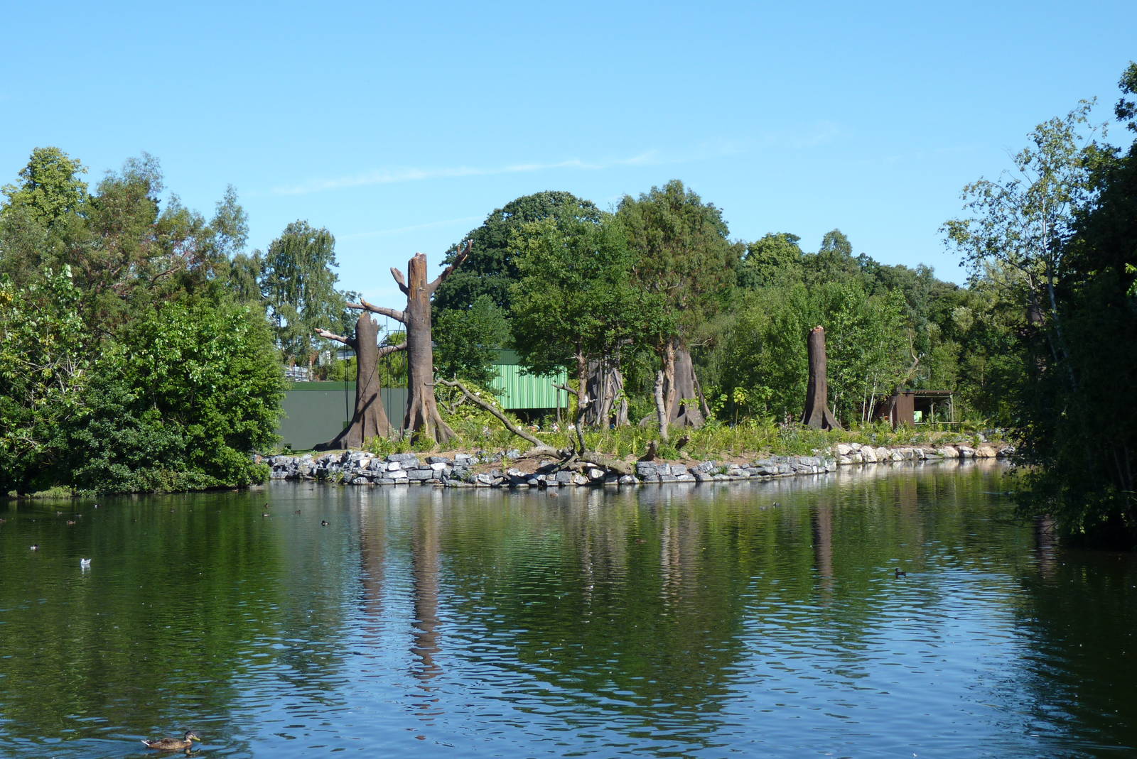 New Orangutan Forest, July 2016