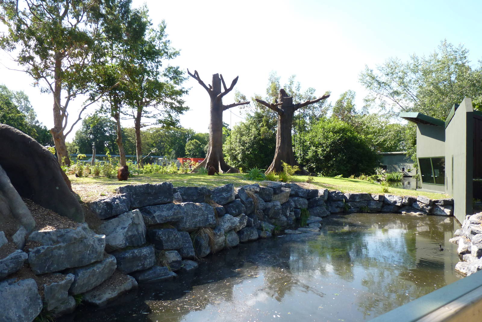 New Orangutan Forest, July 2016