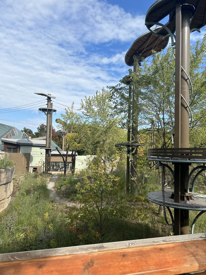 New Orangutan habitat view