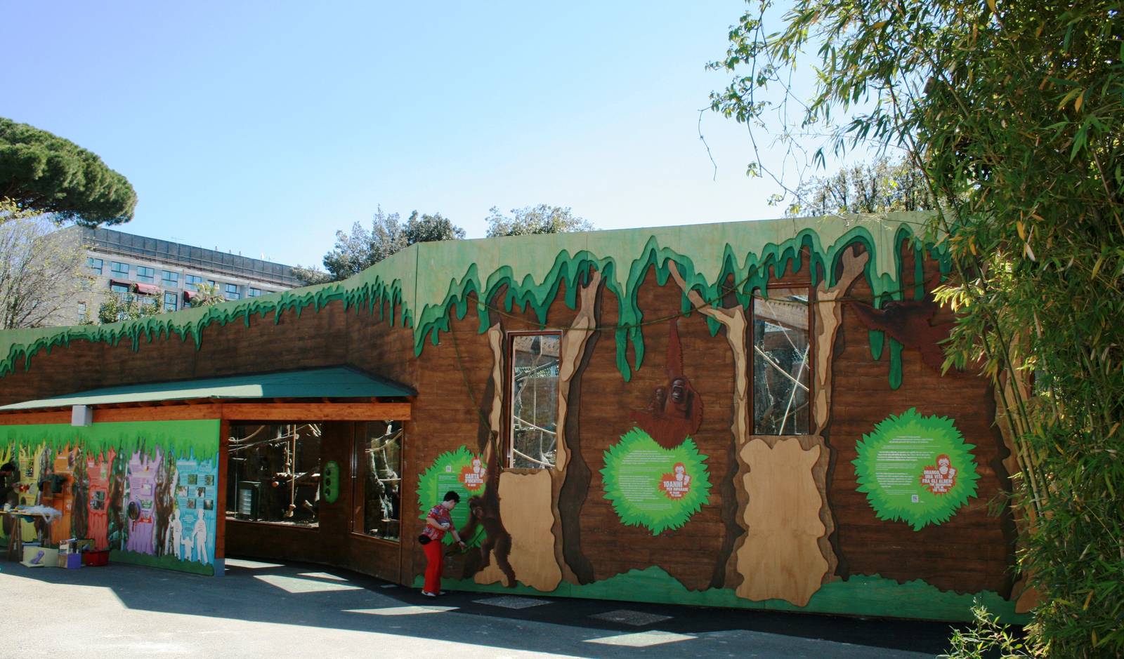 New orangutan outdoor exhibit