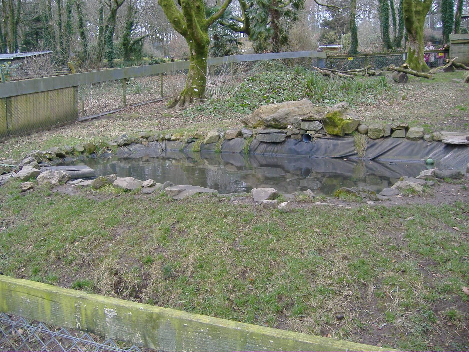 new otter pool dartmoor