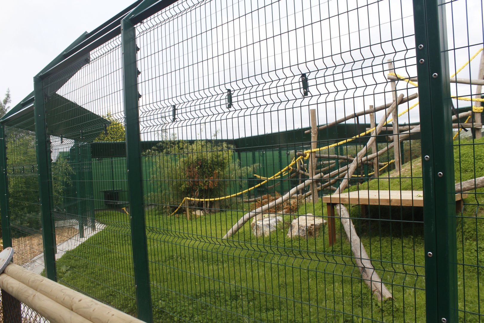 New out door area for Patas monkeys