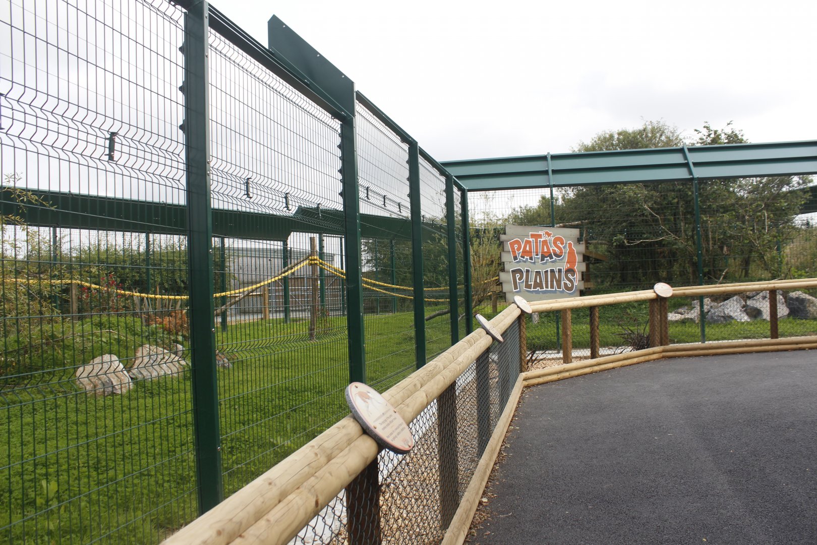 New out door area for Patas monkeys